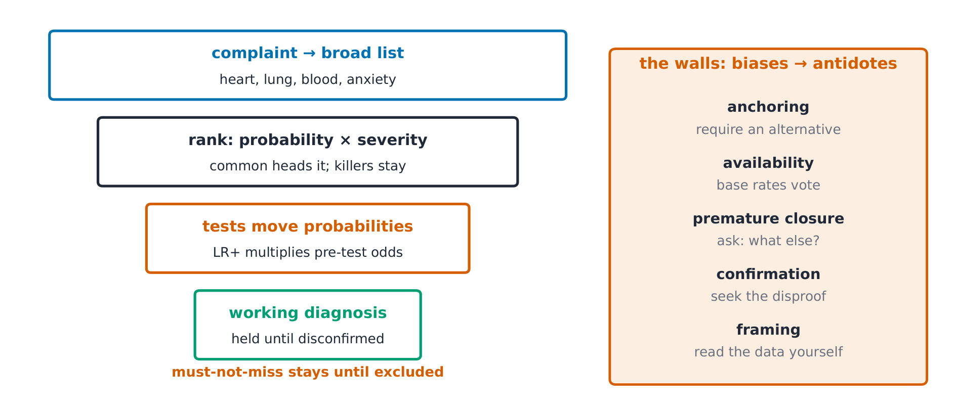 The differential funnel: a broad list, ranked, narrowed by tests, to a working diagnosis; on the right, five biases and their antidotes