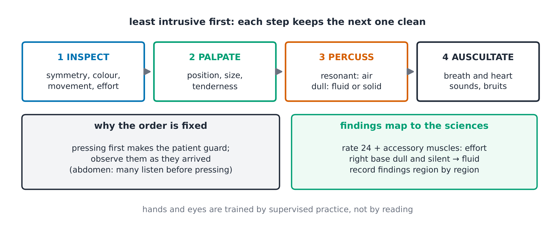 The four steps from inspect to auscultate, why the order is fixed, and how findings map to anatomy and physiology