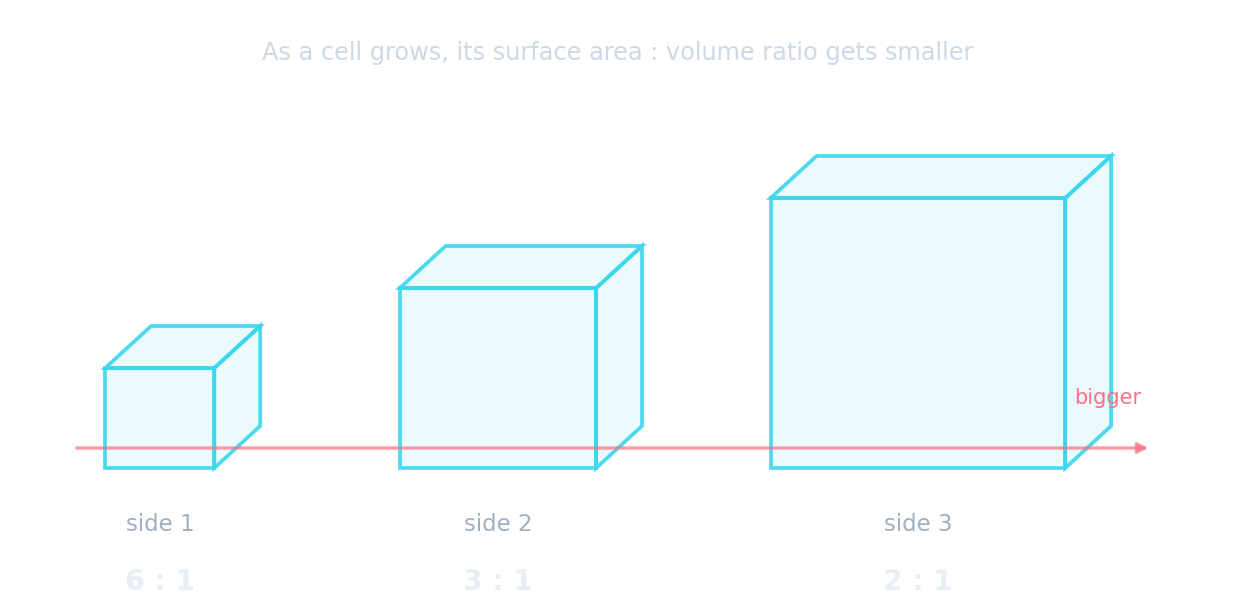 Three cubes of side 1, 2 and 3 with surface-area-to-volume ratios 6:1, 3:1 and 2:1, falling as the cube grows