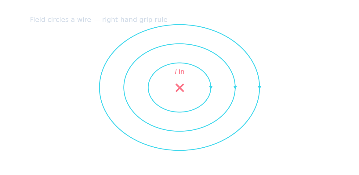 Concentric circular field lines around a straight wire carrying current into the page
