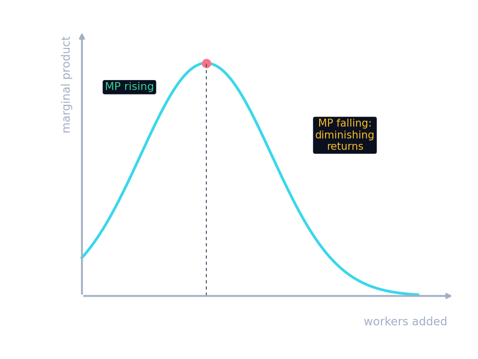 La curva del producto marginal sube, luego baja cuando se establecen los rendimientos decrecientes