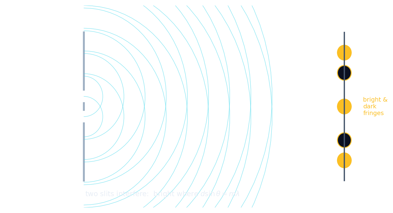 Two slits sending out overlapping waves that interfere into bright and dark fringes on a screen