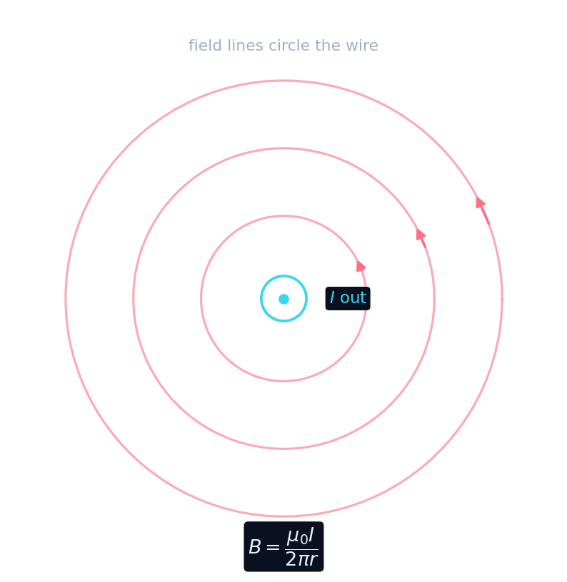 Circular magnetic field lines around a straight current-carrying wire