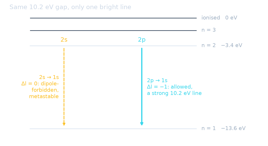 Hydrogen levels: 2p to 1s is an allowed 10.2 eV line; 2s to 1s is dipole-forbidden
