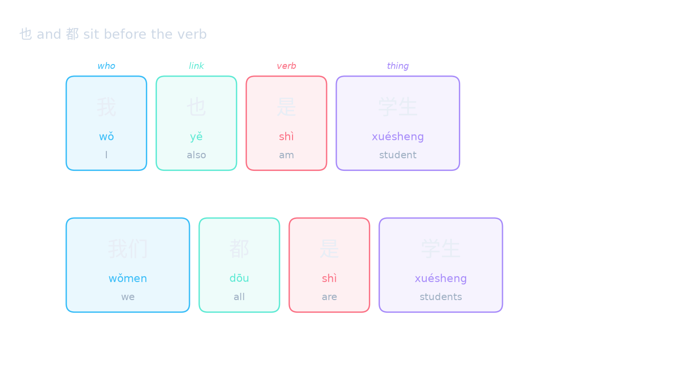 也 and 都 sit before the verb
