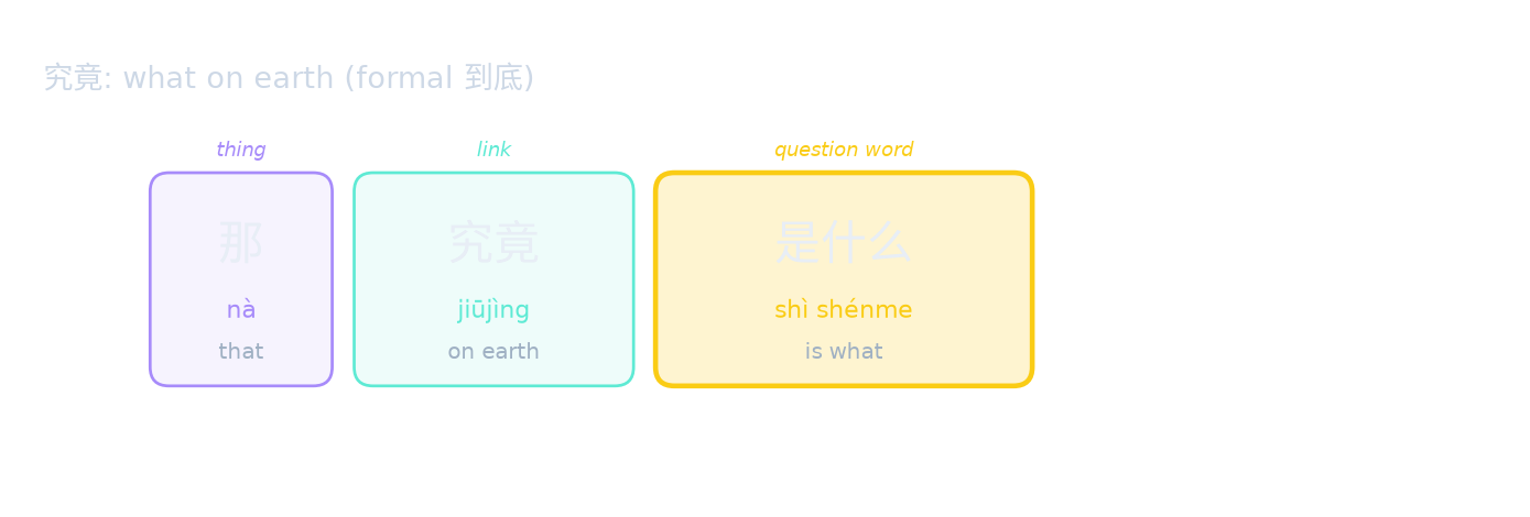 究竟: what on earth (formal 到底)