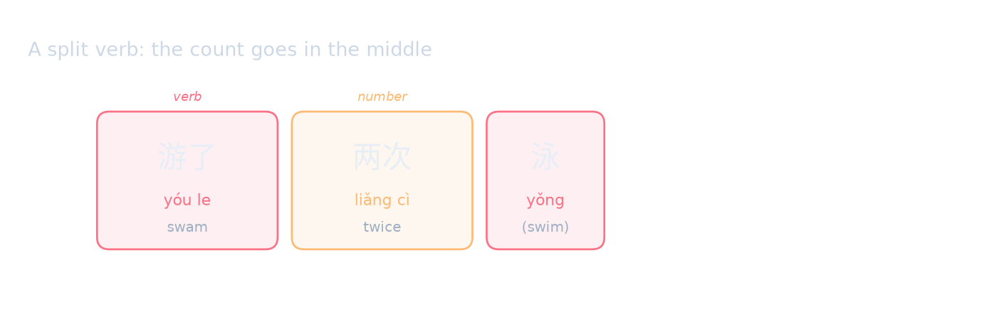 A split verb: the count goes in the middle