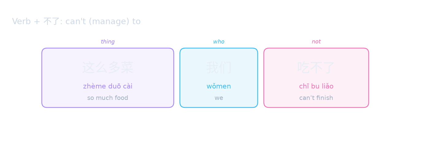Verb + 不了: can't (manage) to