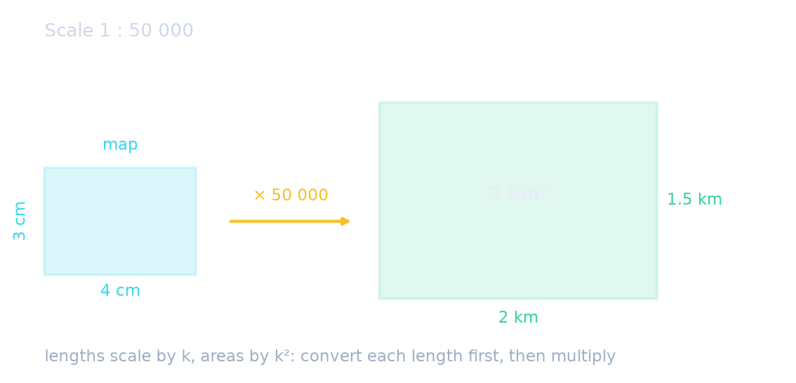 A 4 cm by 3 cm park at 1 : 50 000 is 2 km by 1.5 km, an area of 3 km²